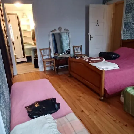 Chez Virginie - Du Bourg Privatunterkunft Lourdes